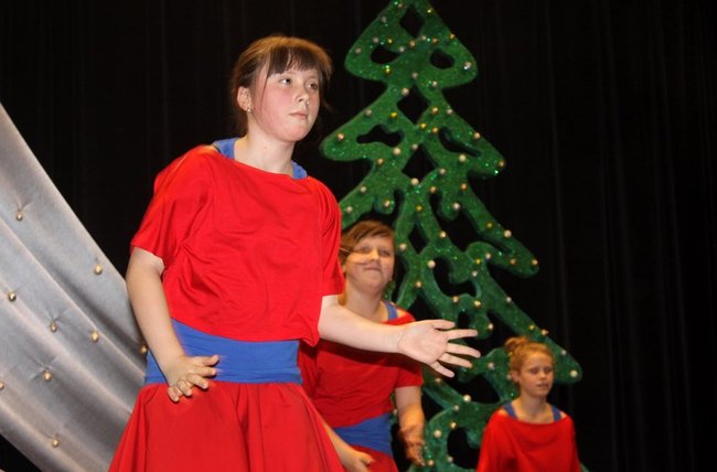 Stroików bez liku - zdjęcia