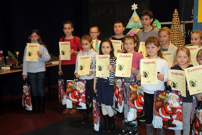 Stroików bez liku - zdjęcia