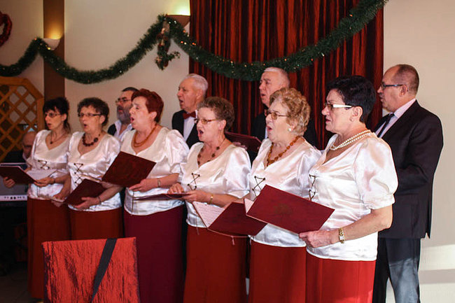 Są tutaj doceniani - zdjęcia