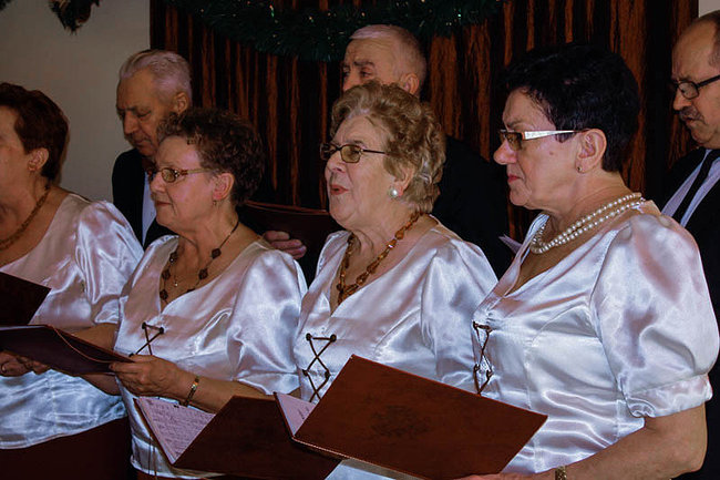 Są tutaj doceniani - zdjęcia