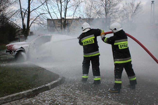 Zebrali rekordową kwotę - zdjęcia