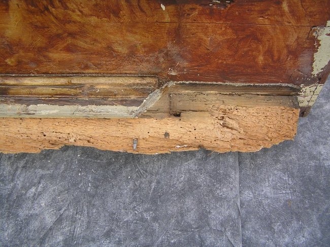 Ile może zdziałać 1 procent - zdjęcia