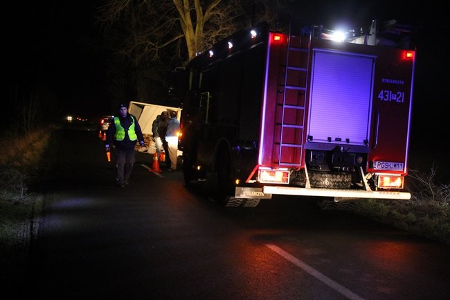 Mięso wypadło na drogę - zdjęcia