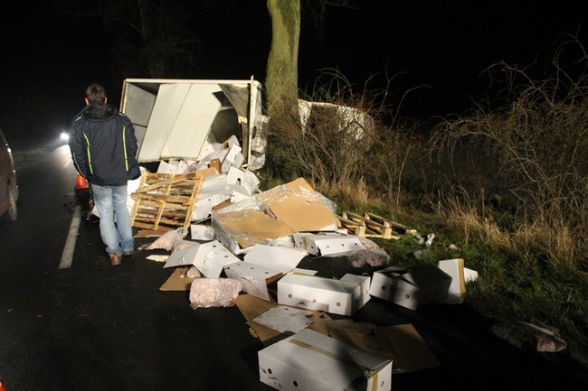 Mięso wypadło na drogę - zdjęcia