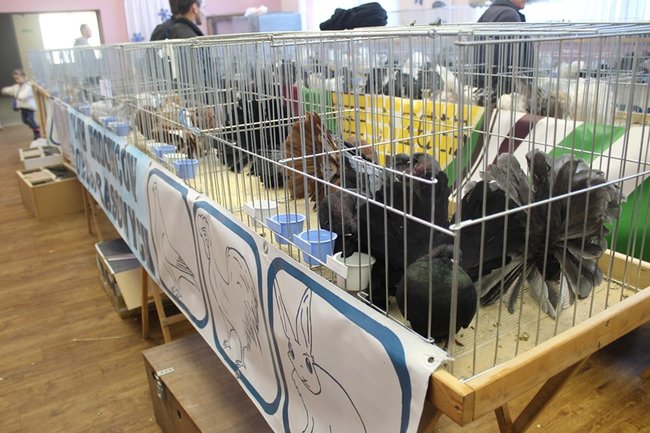 Przyjechały z całego kraju - zdjęcia