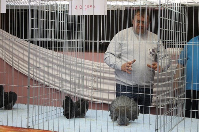 Przyjechały z całego kraju - zdjęcia