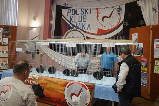 Przyjechały z całego kraju - zdjęcia