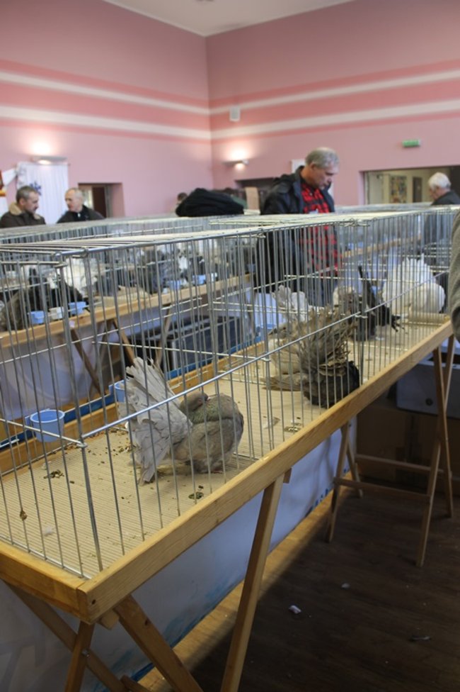 Przyjechały z całego kraju - zdjęcia