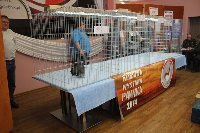 Przyjechały z całego kraju - zdjęcia