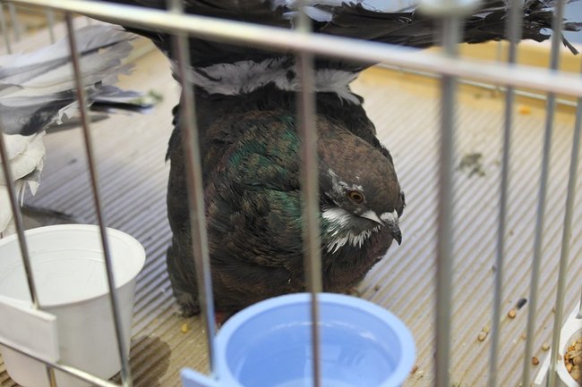 Przyjechały z całego kraju - zdjęcia