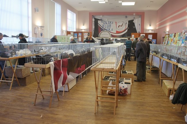 Przyjechały z całego kraju - zdjęcia