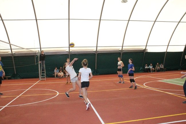 Starają się, jak mogą - zdjęcia