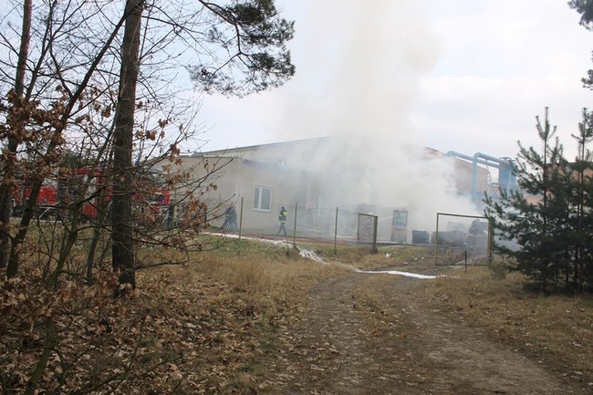 Niebezpieczny pożar w Simecie - zdjęcia