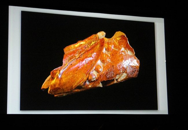 Dokonali cennego odkrycia - zdjęcia