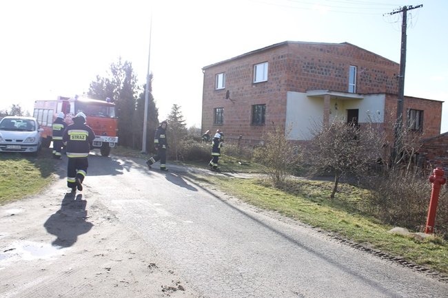 Pozrywane dachy, powalone drzewa - zdjęcia