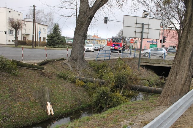 Pozrywane dachy, powalone drzewa - zdjęcia