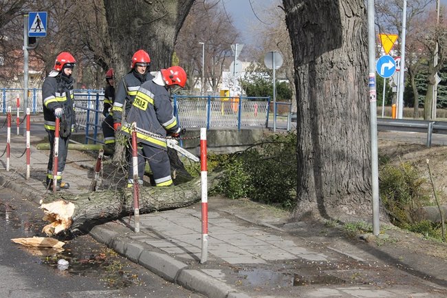 Pozrywane dachy, powalone drzewa - zdjęcia