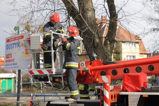 Pozrywane dachy, powalone drzewa - zdjęcia