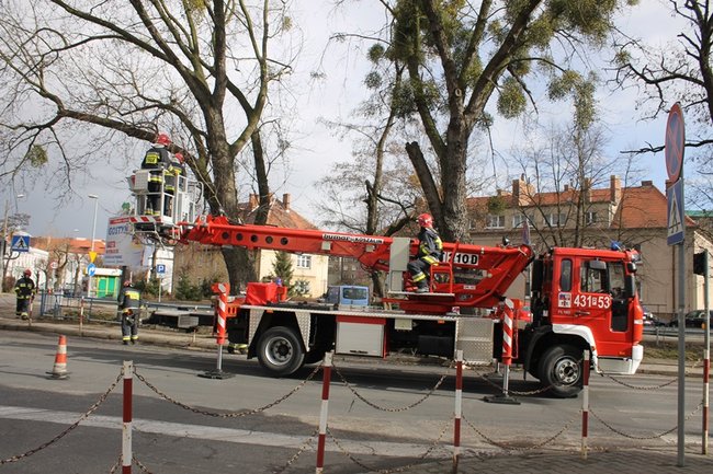 Pozrywane dachy, powalone drzewa - zdjęcia