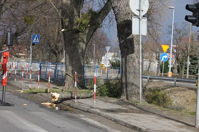 Pozrywane dachy, powalone drzewa - zdjęcia