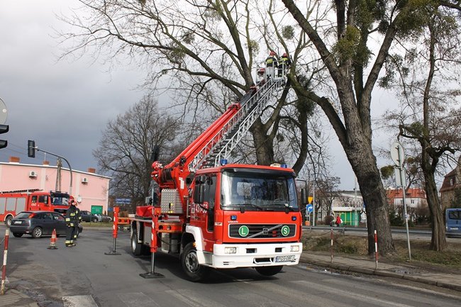 Pozrywane dachy, powalone drzewa - zdjęcia