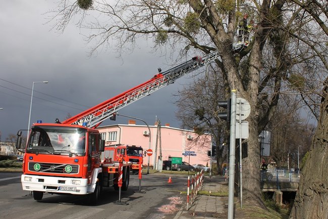 Pozrywane dachy, powalone drzewa - zdjęcia