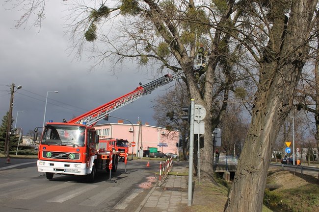 Pozrywane dachy, powalone drzewa - zdjęcia