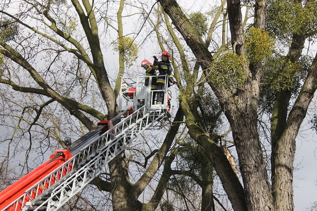 Pozrywane dachy, powalone drzewa - zdjęcia