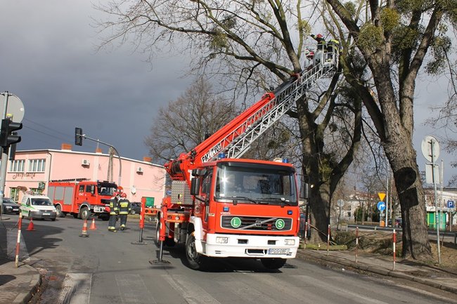 Pozrywane dachy, powalone drzewa - zdjęcia