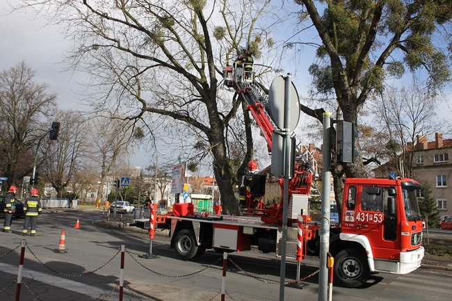 Pozrywane dachy, powalone drzewa - zdjęcia