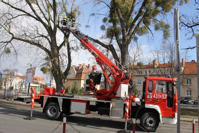 Pozrywane dachy, powalone drzewa - zdjęcia