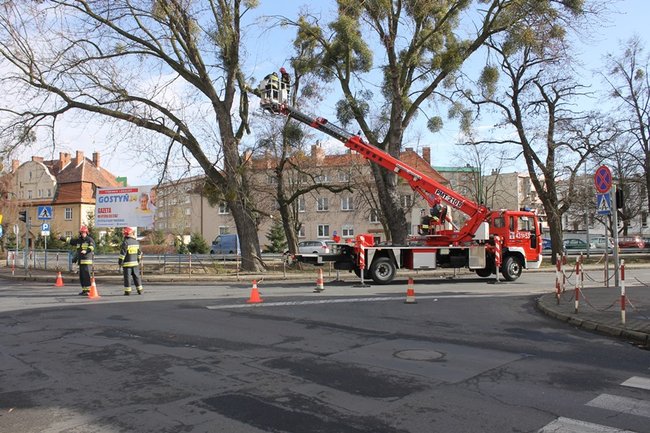 Pozrywane dachy, powalone drzewa - zdjęcia