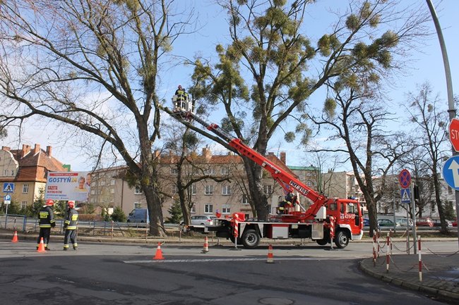 Pozrywane dachy, powalone drzewa - zdjęcia