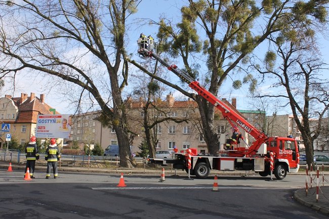 Pozrywane dachy, powalone drzewa - zdjęcia