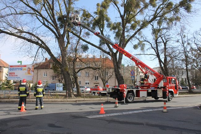 Pozrywane dachy, powalone drzewa - zdjęcia