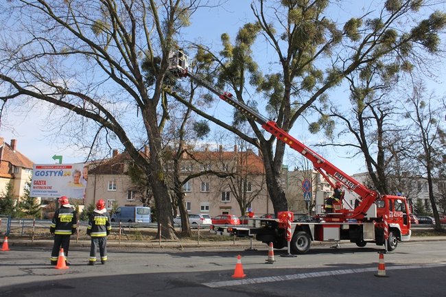 Pozrywane dachy, powalone drzewa - zdjęcia
