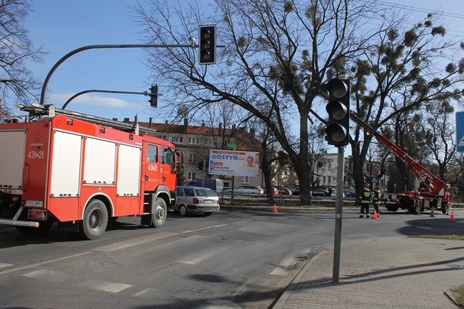 Pozrywane dachy, powalone drzewa - zdjęcia