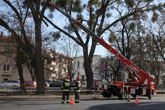 Pozrywane dachy, powalone drzewa - zdjęcia