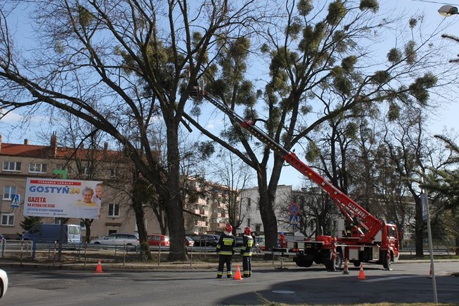 Pozrywane dachy, powalone drzewa - zdjęcia