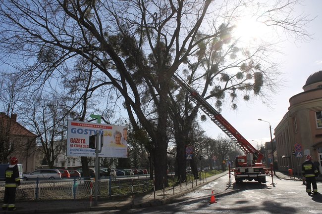 Pozrywane dachy, powalone drzewa - zdjęcia