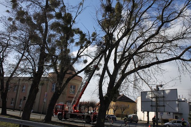 Pozrywane dachy, powalone drzewa - zdjęcia