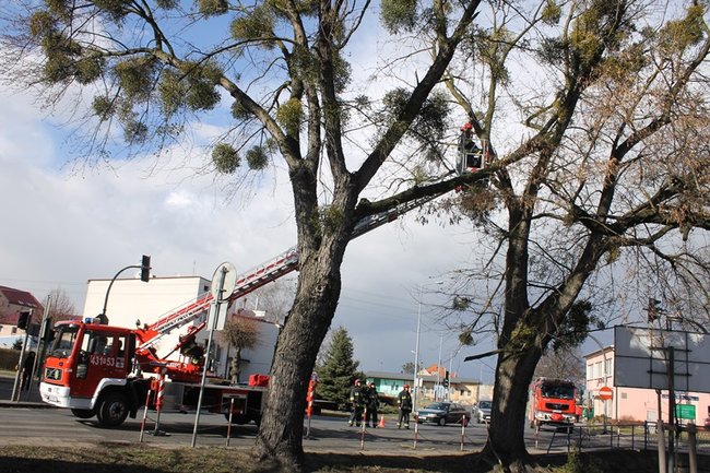 Pozrywane dachy, powalone drzewa - zdjęcia