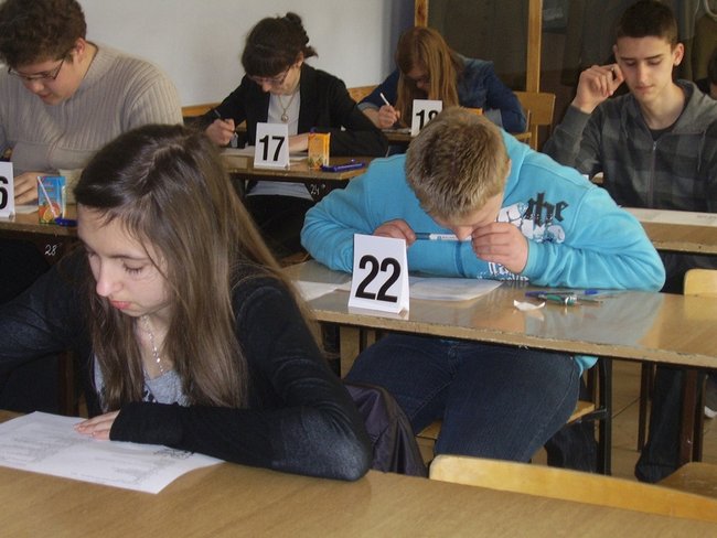 Matematyczno-przyrodnicze zmagania