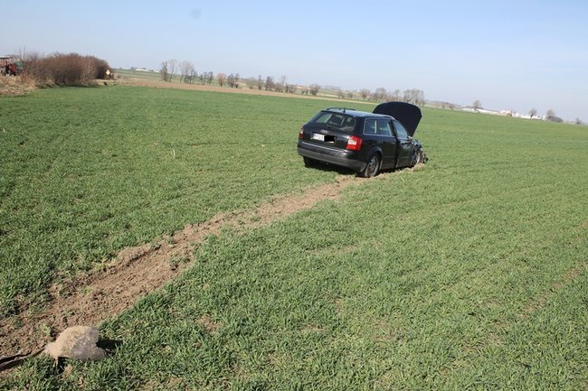 Czołówka na wojewódzkiej - zdjęcia