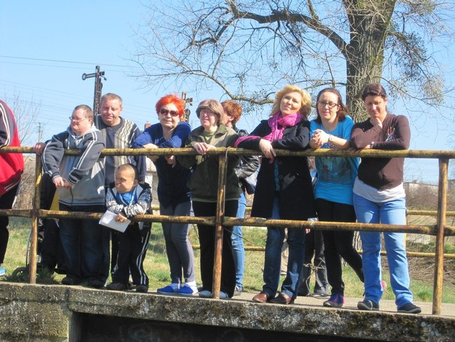 Powitali wiosnę ? zdjęcia