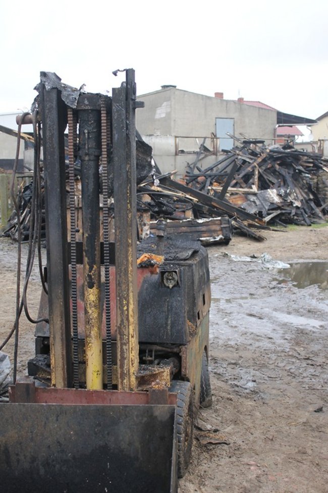 Zwierzęta spłonęły żywcem - zdjęcia