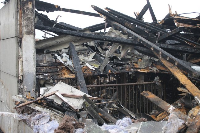 Zwierzęta spłonęły żywcem - zdjęcia