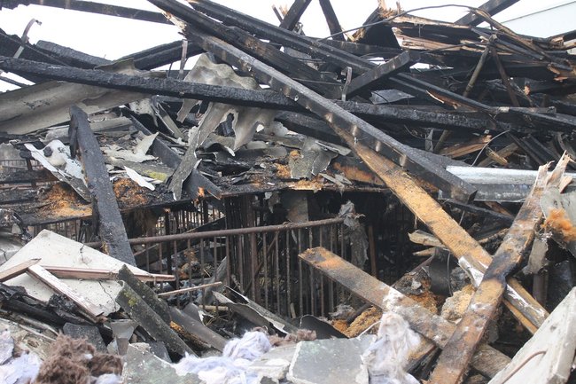 Zwierzęta spłonęły żywcem - zdjęcia