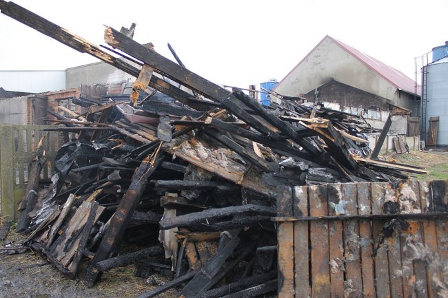 Zwierzęta spłonęły żywcem - zdjęcia