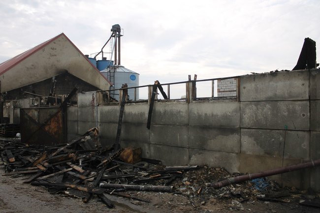 Zwierzęta spłonęły żywcem - zdjęcia